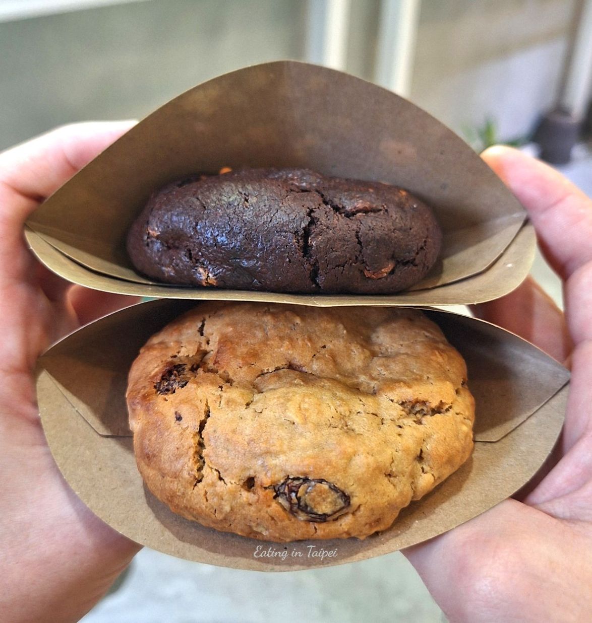 CookieDPT chocolate peanut butter oatmeal raisin