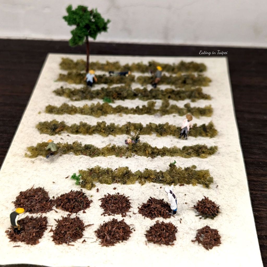 Pa Shih Mesona model